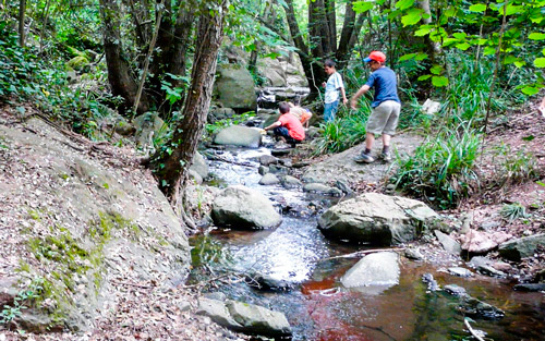 Educació ambiental