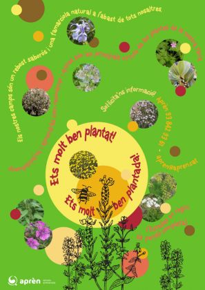 Plantes per fer salut, plantes remeieres.<br />
<strong><em>Obertes inscripcions 2018</em>!</strong>: 9 i 10 de juny.