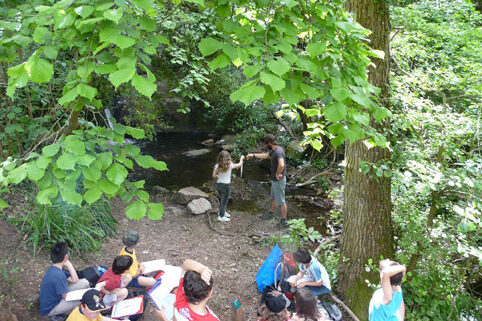Vida al rierol: com els macroinvertebrats revelen la salut de l’aigua dolça