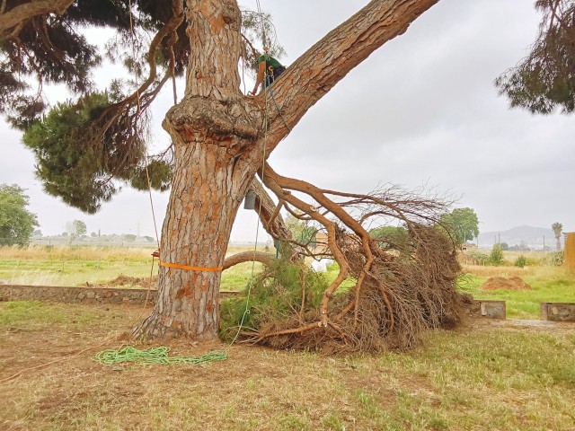Gestió, estudi de risc i anàlisi de patògens (Parc Agrari del Baix Llobregat)