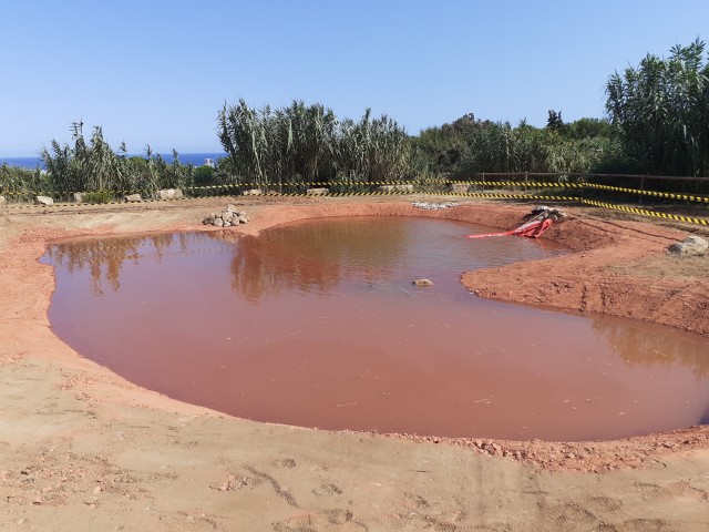 Creació de basses com a refugi herpetològic (serra de Marina, el Maresme)