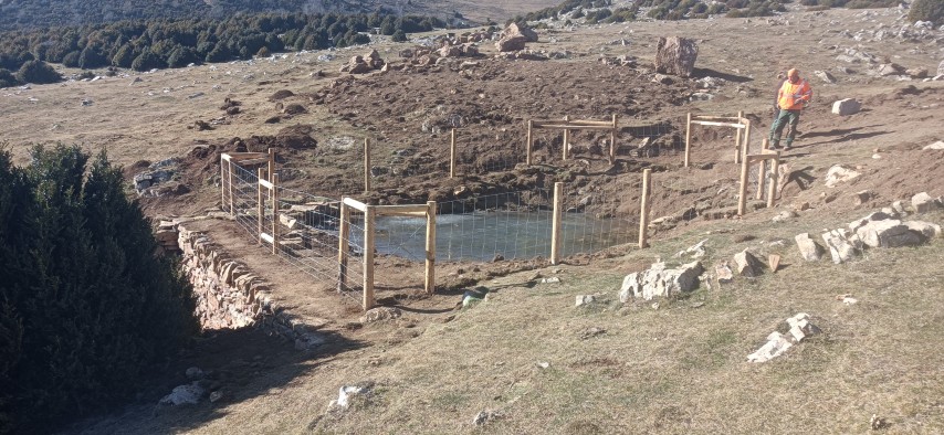 Creació de bassa com a refugi herpetològic (Ogassa, el Ripollès)