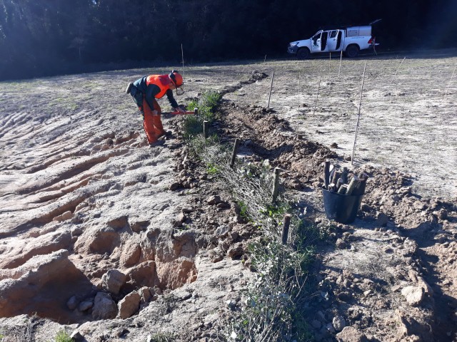Instal·lació de feixines per al control d’escorrenties (Sils, la Selva)