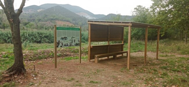 Construcció d’aguaits per a l’observació de fauna (la Llagosta, el Vallès Oriental)