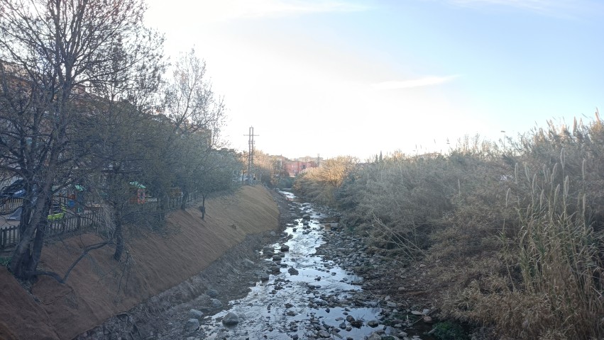 Actuació d’extracció de canyes en la llera (riba esquerra) amb posterior restauració