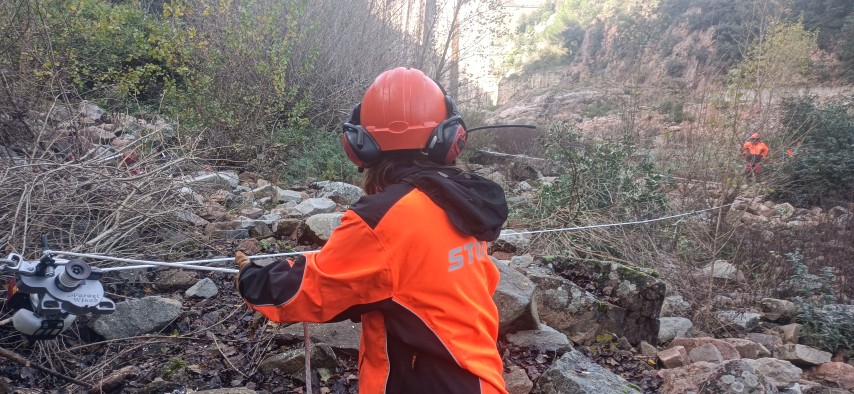 Extracció de budleies des de l’arrel en zones de difícil accés amb el sistema de cabrestant winch