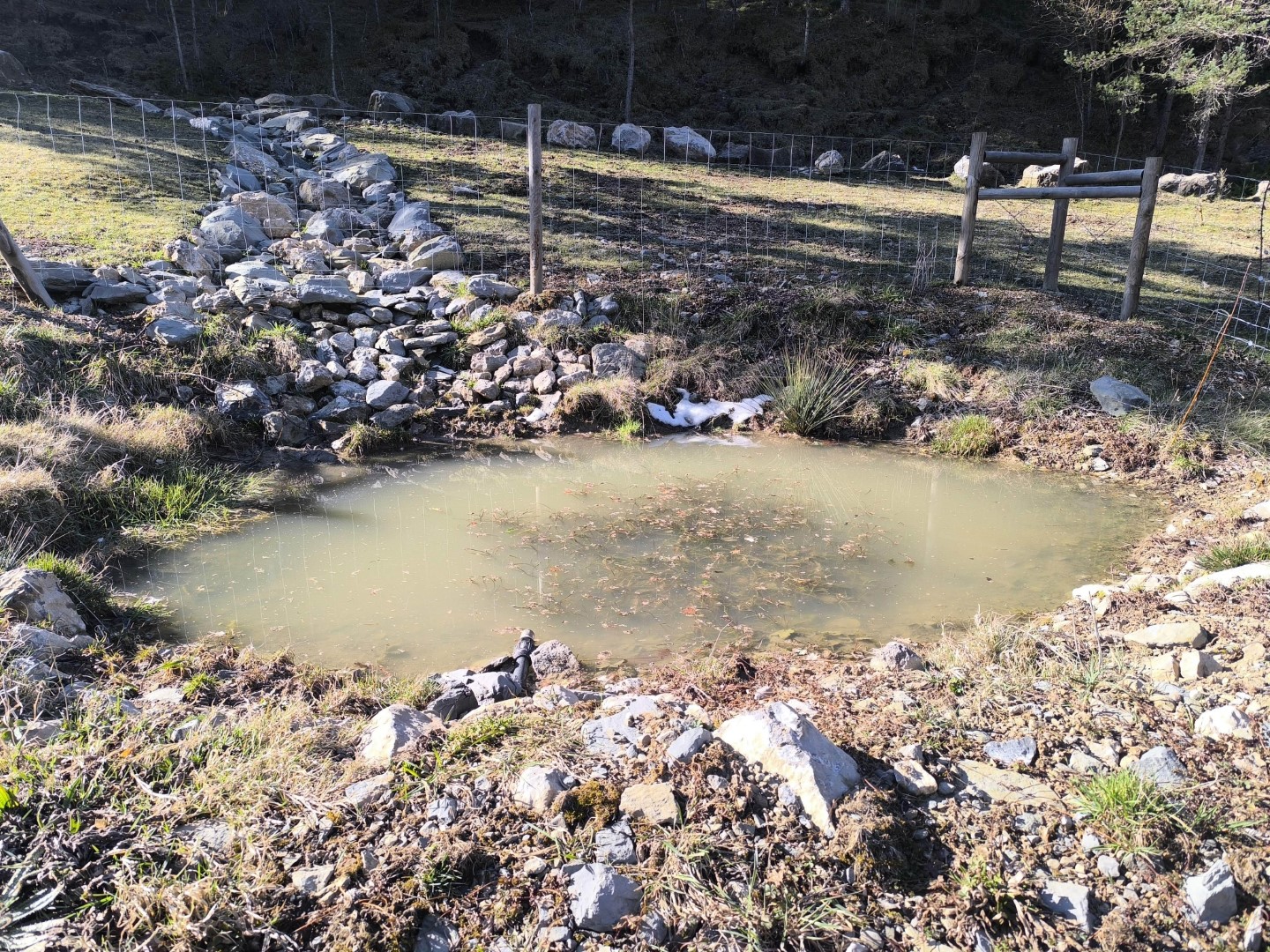 Gestió del medi natural