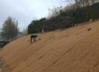 Estabilització de talussos en l’àmbit fluvial utilitzant geomanta i posterior plantació i sembra (la Garriga, el Vallès Oriental).