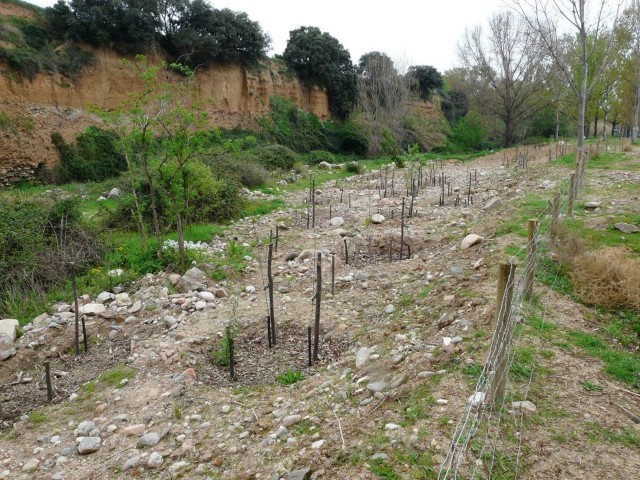 Logística i gestió de les plantacions