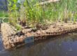 Illes flotants vegetades fetes per Aprèn