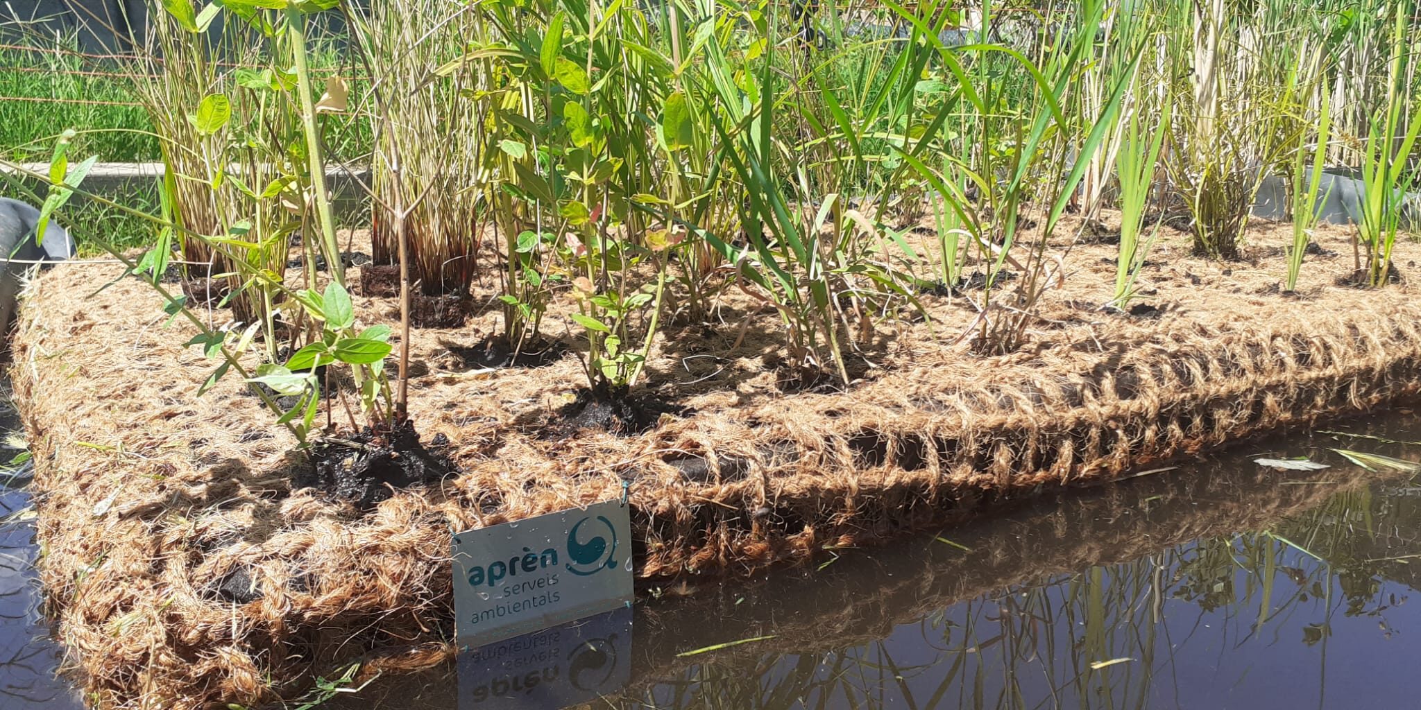 Illes flotants vegetades fetes per Aprèn