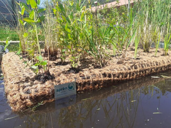 Illes flotants vegetades fetes per Aprèn