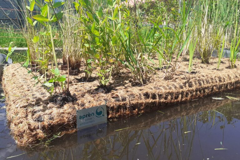 Illes flotants vegetades fetes per Aprèn