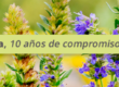 Biobserva