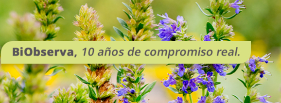 Biobserva