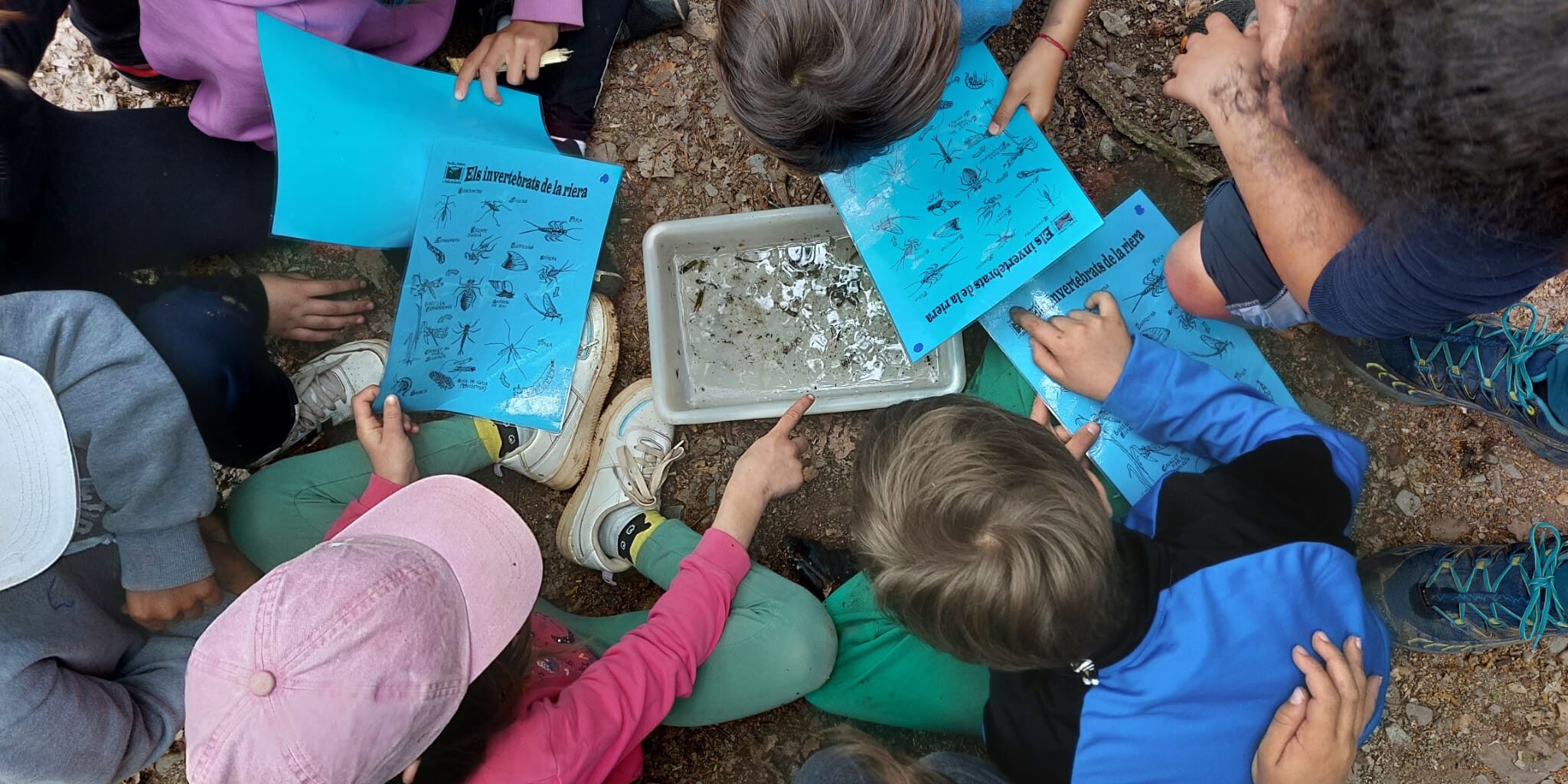 Descobreix el riu: el programa educatiu
