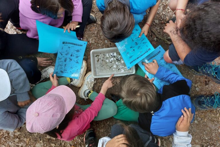 Descobreix el riu: el programa educatiu