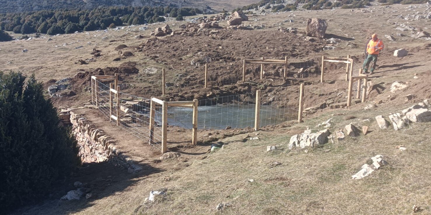 Protecció i restauració basses ambfibis