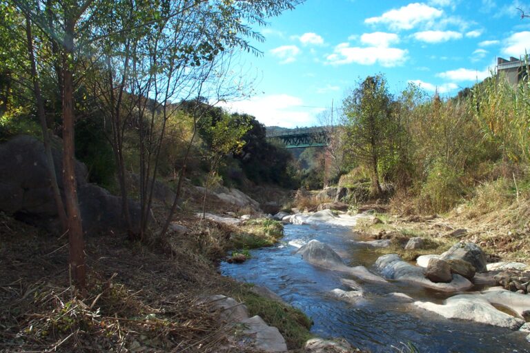 Restauració ecològica rius